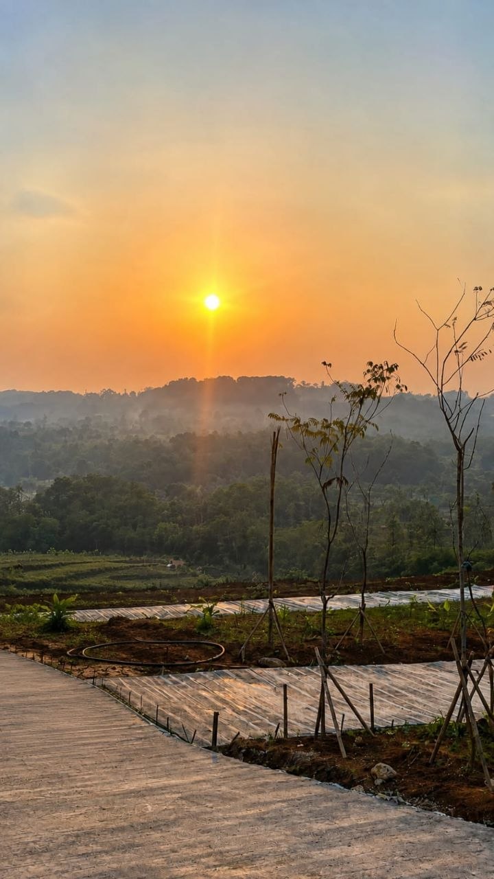Properti Pilihan
